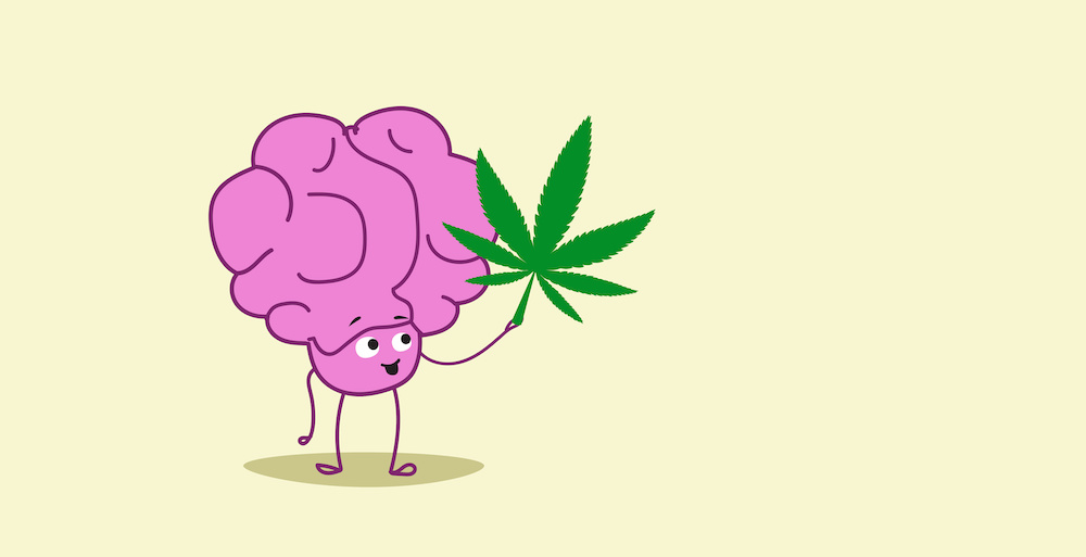 How CBD Affects the Brain: The Neurological Effects of CBD - CBD Articles - Mindful Medicinals Sarasota