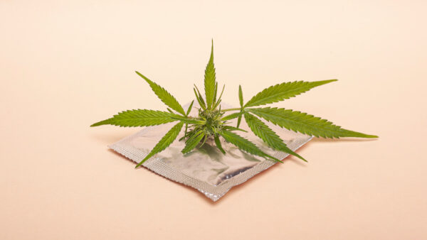 best cbd gummies for sex