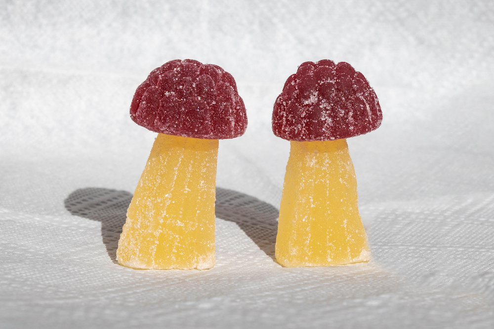 Mushroom Gummies are the Newest Trend