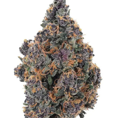 Granddaddy Purple THC - Mindful Medicinal Sarasota CBD