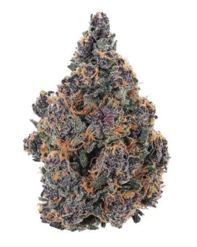 Granddaddy Purple THC - Mindful Medicinal Sarasota CBD