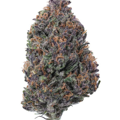 Purple Pantera THC - Mindful Medicinal Sarasota CBD